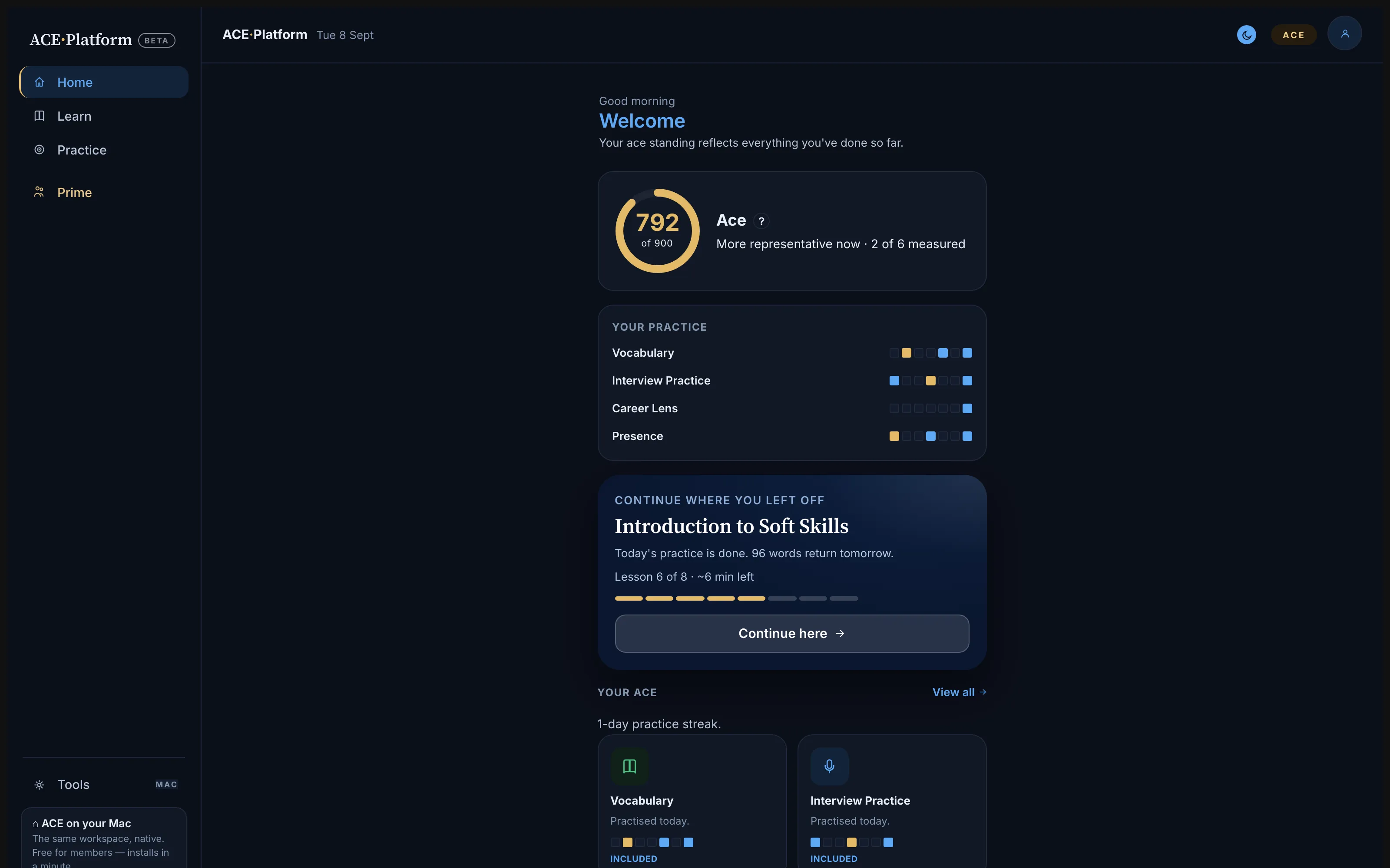 ACE Platform dashboard showing a member's career standing, daily practice, and next lesson