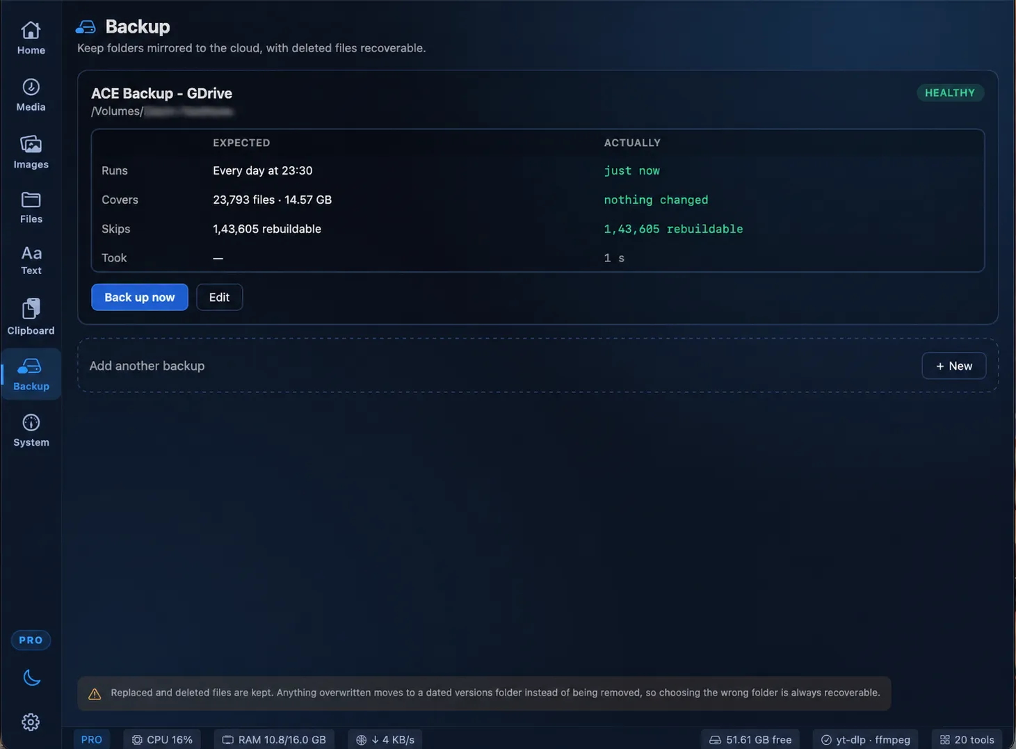 Backup — a healthy, recoverable mirror with the disk location kept private.
